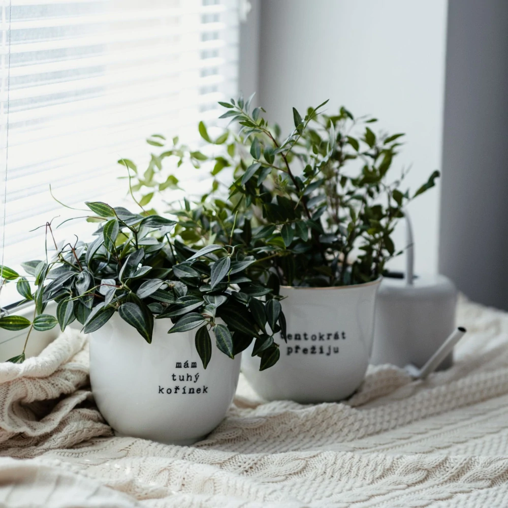 Porcelánový obal na květináč Tentokrát přežiju 13 cm