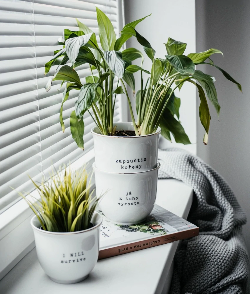 Porcelánový obal na květináč Zapouštím kořeny 13 cm