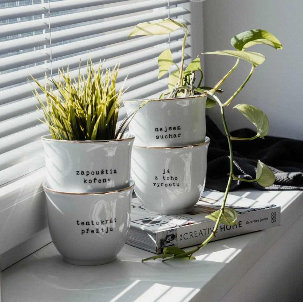Porcelánový obal na květináč Já z toho vyrostu 10 cm