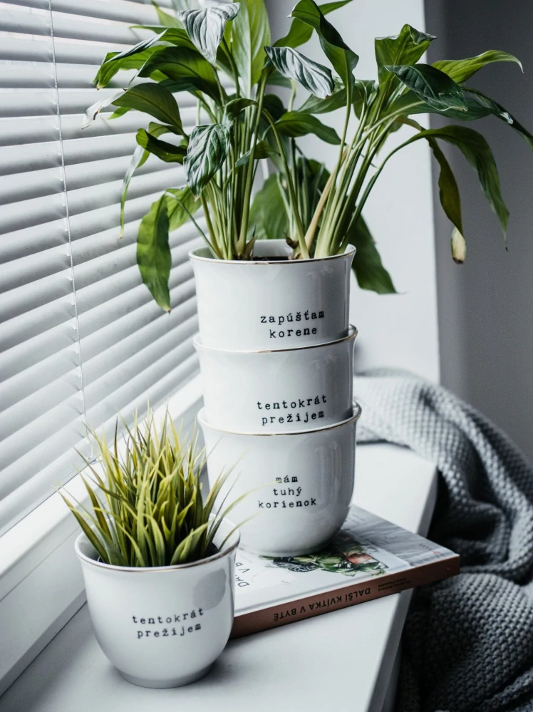 Porcelánový obal na květináč Tentokrát prežijem 10 cm - SK