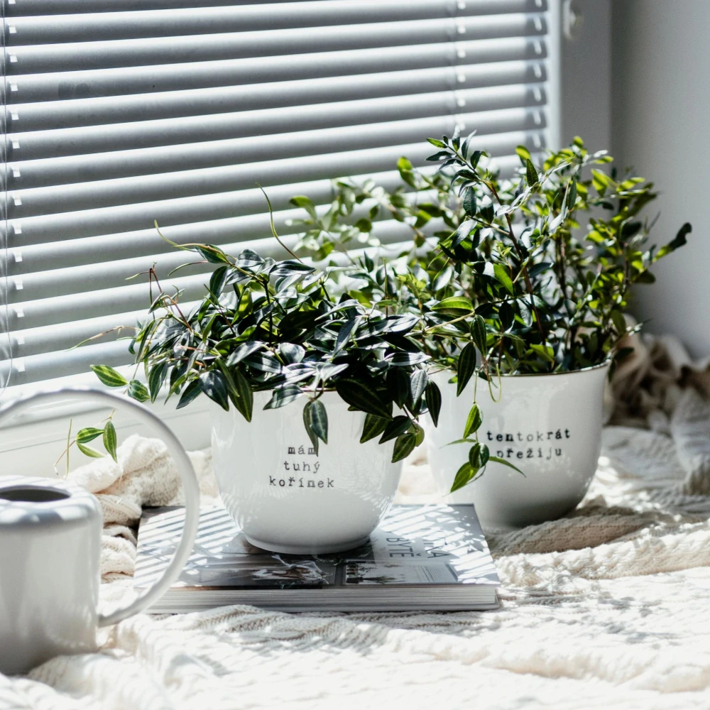 Porcelánový obal na květináč Tentokrát přežiju 13 cm