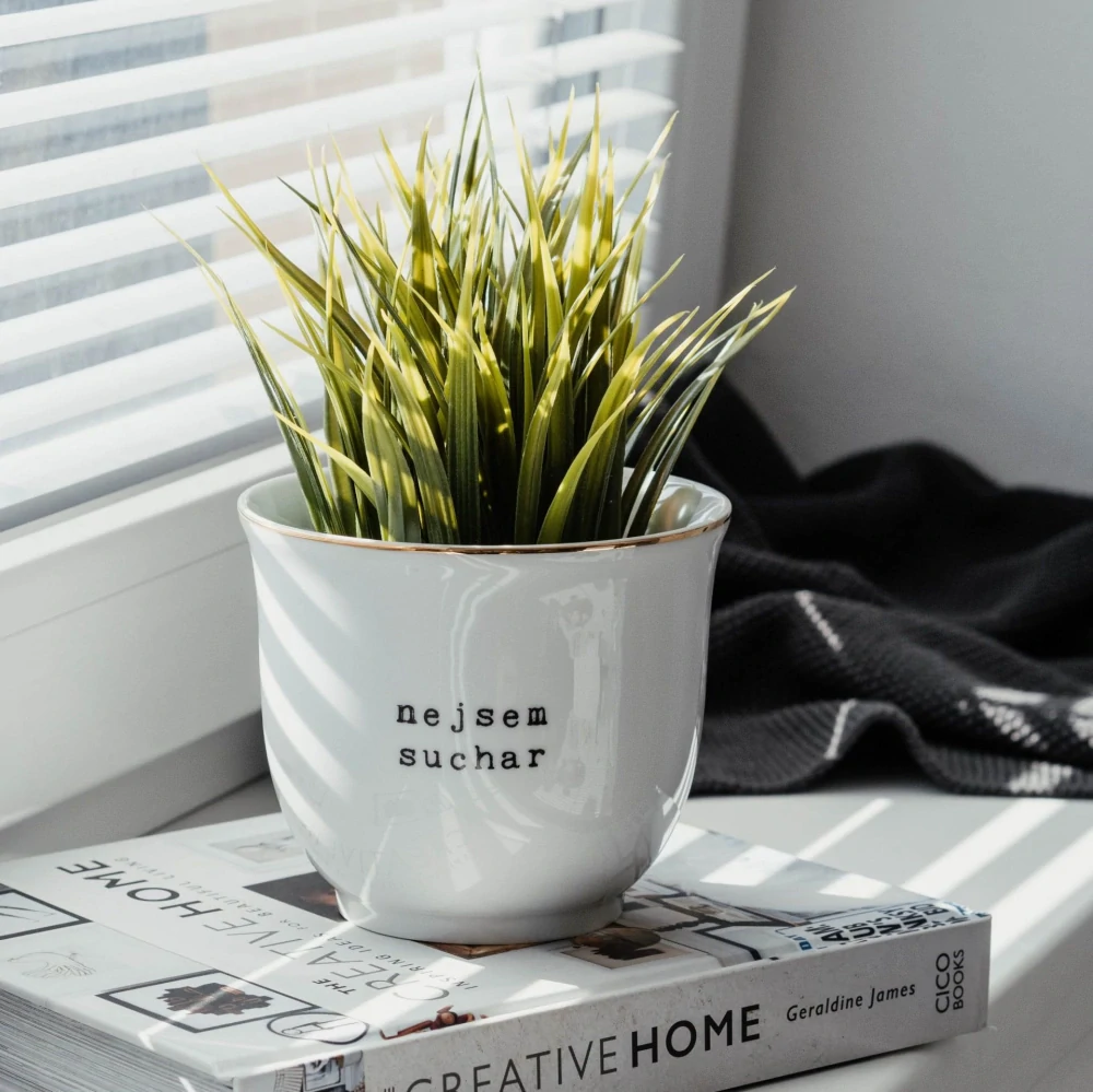 Porcelánový obal na květináč Nejsem suchar 10 cm