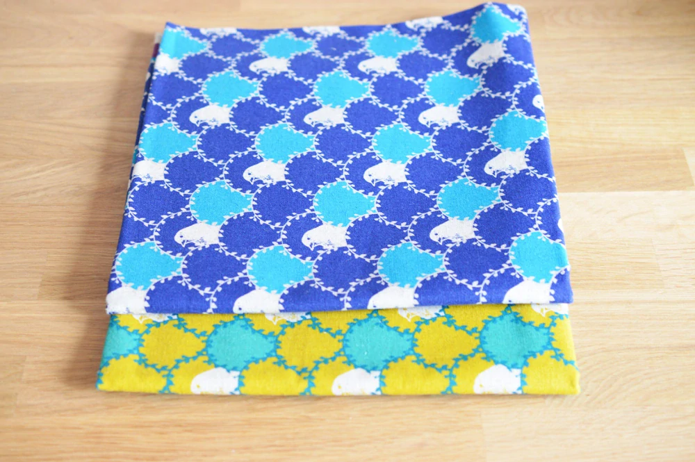 Holoubci na modré - echino