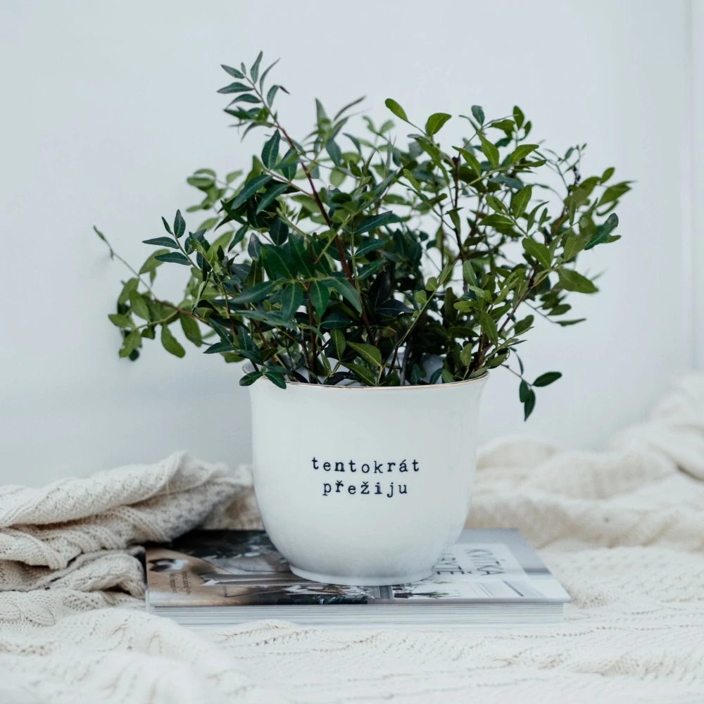 Porcelánový obal na květináč Tentokrát přežiju 13 cm