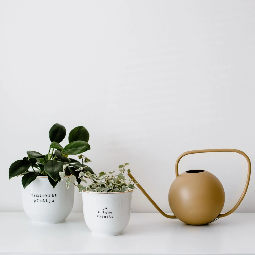 Porcelánový obal na květináč Já z toho vyrostu 10 cm