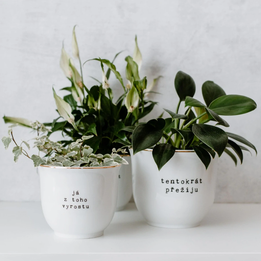 Porcelánový obal na květináč Tentokrát přežiju 13 cm