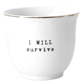 Porcelánový obal na květináč I will survive 13 cm