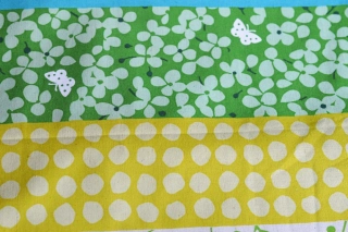 Zeleno-modrý proužek - echino